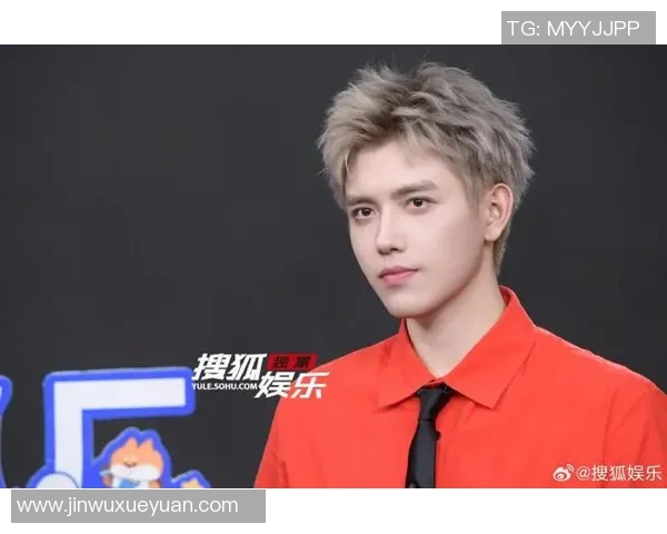 原帅的成长之路:从青涩少年到耀眼明星的奋斗历程与心路历程